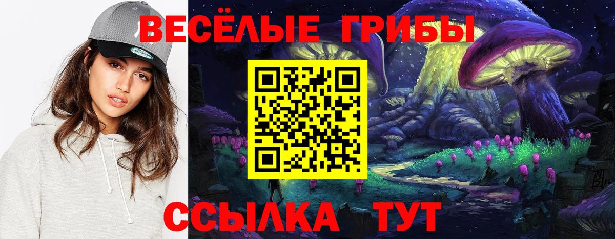 Псилоцибиновые грибы Psilocybine cubensis  Вход с VPN  Губаха 